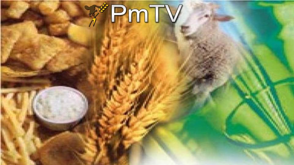 Pmtv Buena Demanda Por La Soja Con Entrega En Los Meses De Abril Mayo