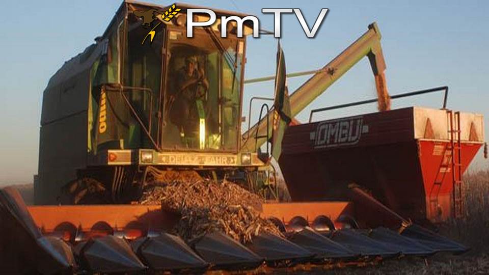 Pmtv Comportamiento Mixto Para Soja Y Bajas En Ma Z De Cbot