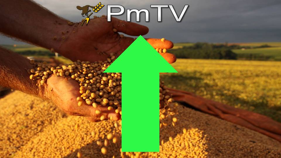 Pmtv Soja En El M Ximo De Dos A Os Con Suba De U S Ton