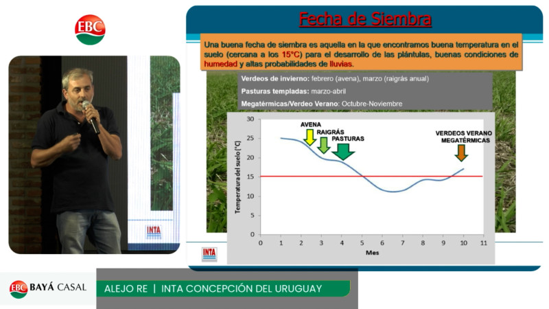 Más carne a menos costo: el secreto empieza en la implantación de Pasturas; con Alejo Re - INTA