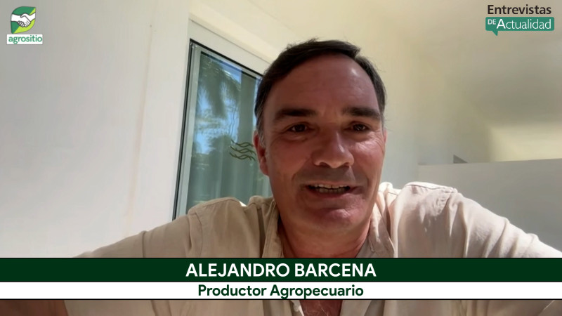 Trigo, avena, pasturas, y más vacas: un modelo exitoso de diversificación en la Patagonia; con A. Barcena