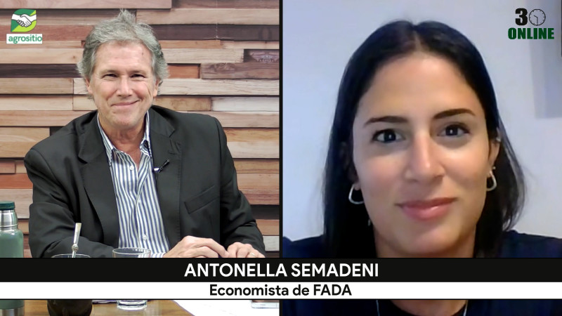 Lo que viene en la economía: claves para entender el escenario del campo; con A. Semadeni - economista