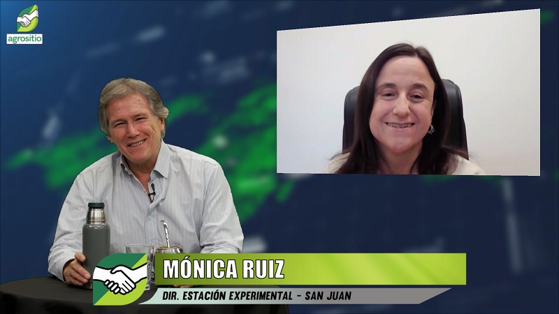 ¿Qué está pasando con el INTA?, ¿corren riesgo la investigación y extensión agropecuaria?; con M. Ruiz - Dir. INTA