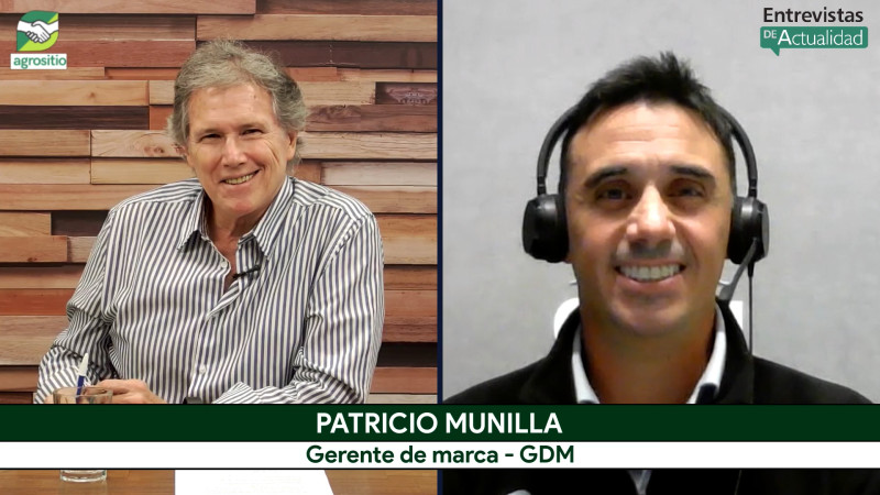 Trigo y la gran apuesta tecnológica para repetir el récord de rinde; con P. Munilla - DONMARIO