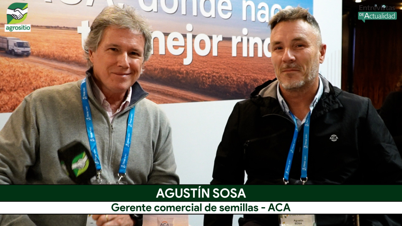 ACA lanza 3 Trigos y 2 Cebadas para buscar altos rindes en año Niño; con Agustín Sosa - Gte. de Semillas