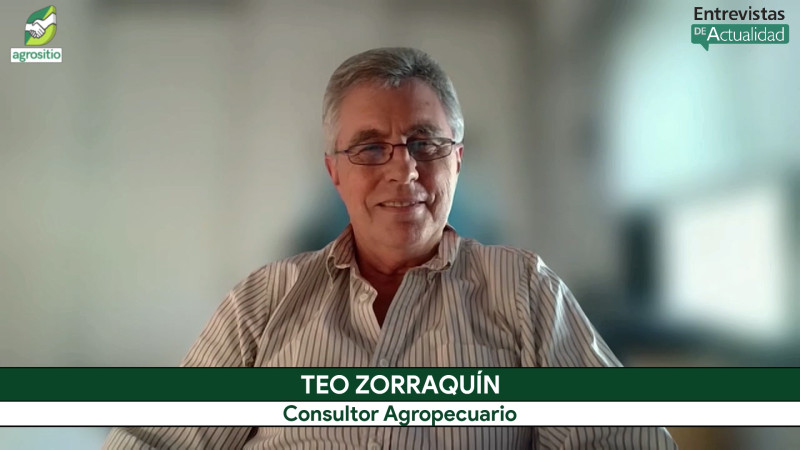 Teo Zorraquín analiza: amenazas, oportunidades, y escenarios del negocio agropecuario con Milei 2026