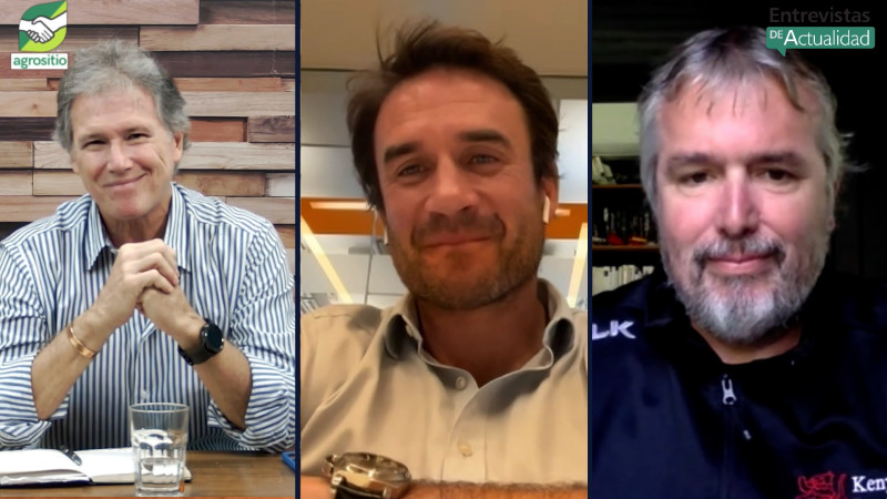 Del Rugby de elite al Campo: cómo adaptarse, 