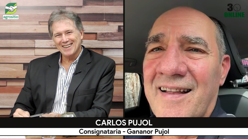 Sigue bajando el precio de la Hacienda, ¿hasta cuando?; con Carlos Pujol - consignatario