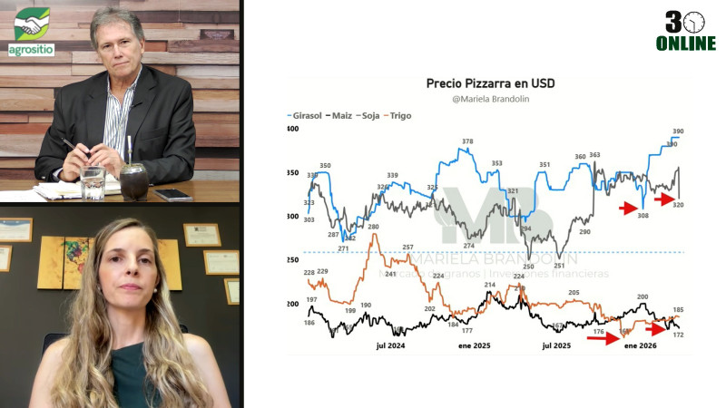 Maíz y soja en modo guerra: cómo vender en un mercado impredecible; con Mariela Brandolin - mercados
