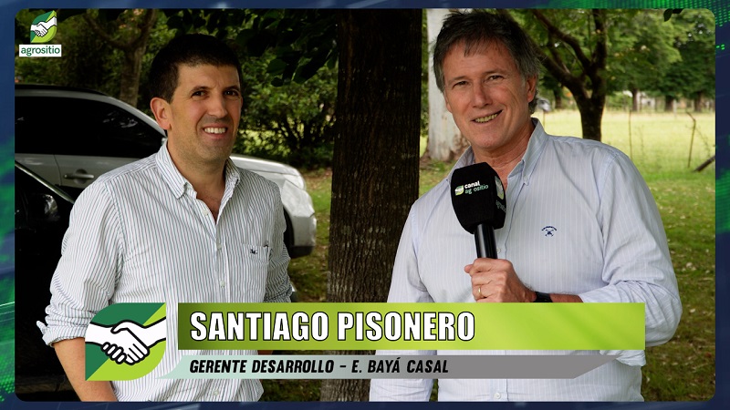 Cómo están los precios y la oferta de semillas de pasturas y verdeos; con Santiago Pisonero - Baya Casal 