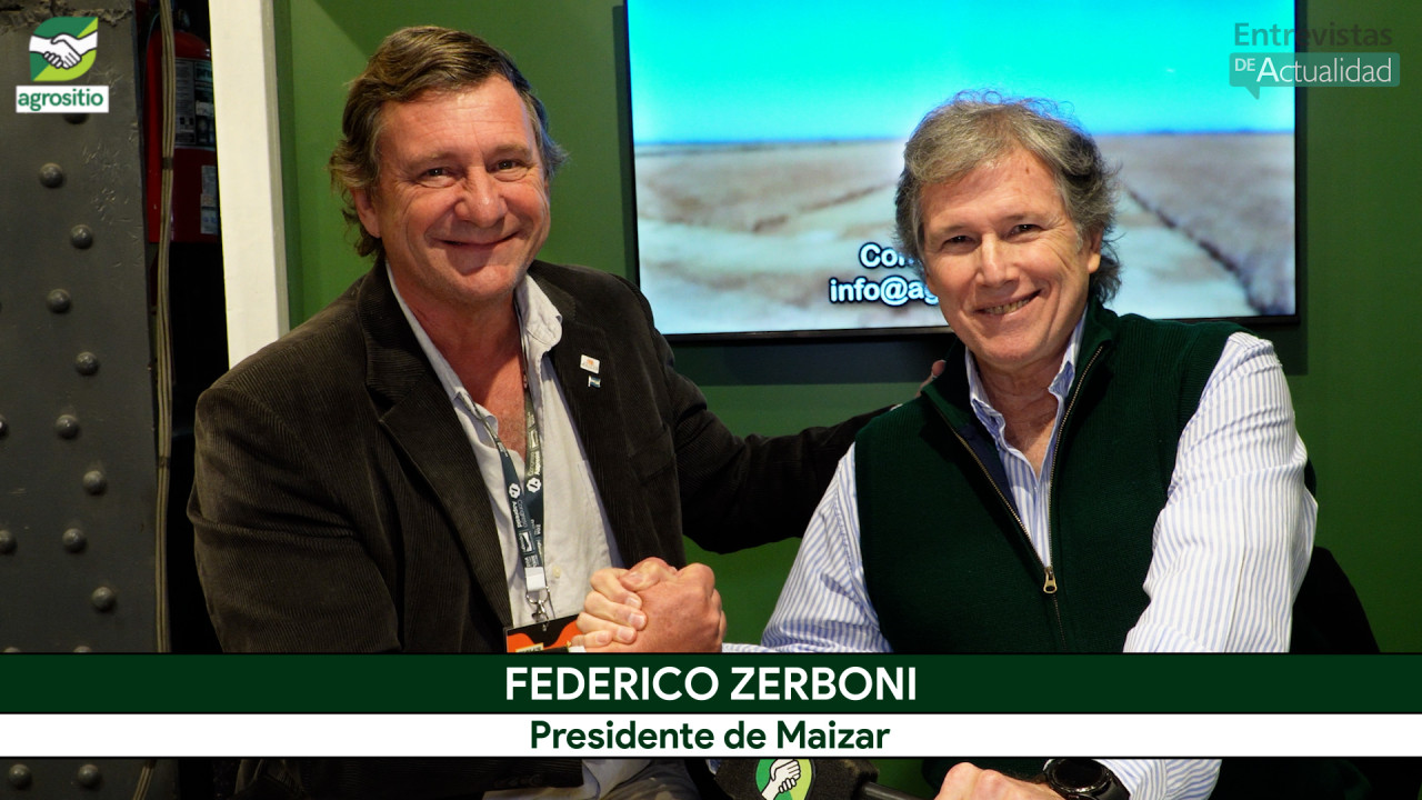 Maíz Con TODO: una campaña de entre 65 y 72 Mill Tons, pero con alerta de chicharrita en adelante; con F. Zerboni - Maizar