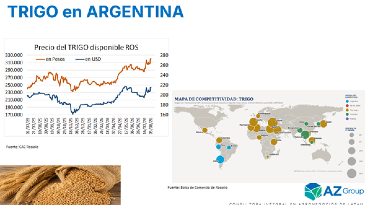 Trigo: precios disponibles y futuros que mejoran, ¿nuevas oportunidades de venta?; con Lorena D´ Angelo - Clínica de Granos