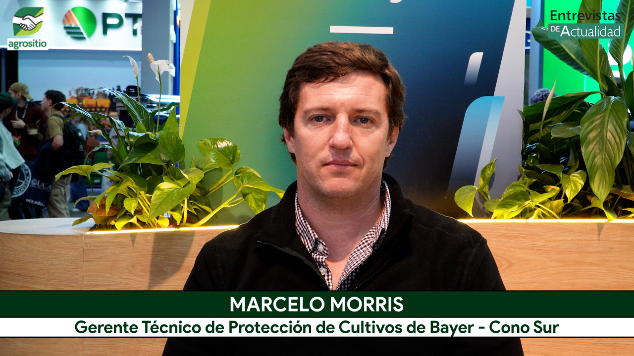 Plagas y malezas en campaña gruesa: cómo anticiparse diagnosticando y aplicando; con M. Morris - BAYER