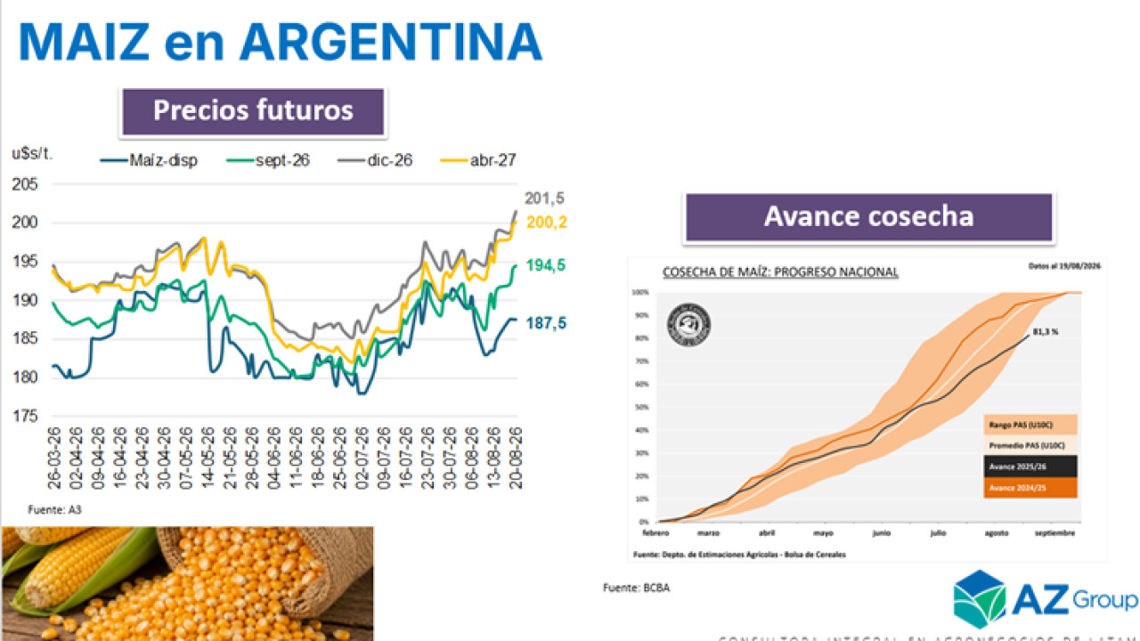 Maiz: Con menor producción en EE.UU. suben los precios futuros del cereal; con Lorena D´ Angelo - Clínica de Granos