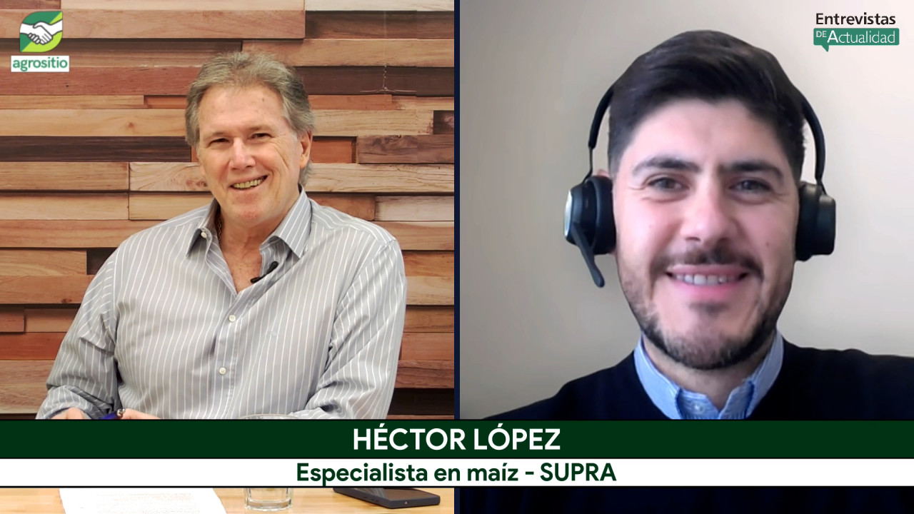 Silaje de maíz y ganadería: el foco en genética, fertilización y manejo post-cosecha; con H. López - agrónomo