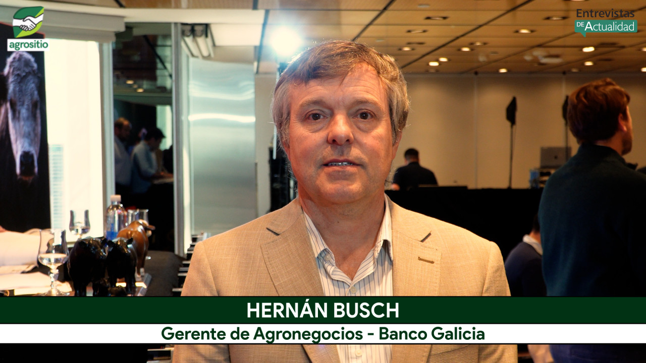 ¿Qué sectores del agro están pidiendo más Crédito y qué revela esto sobre la salud del campo?; con H. Busch - Galicia