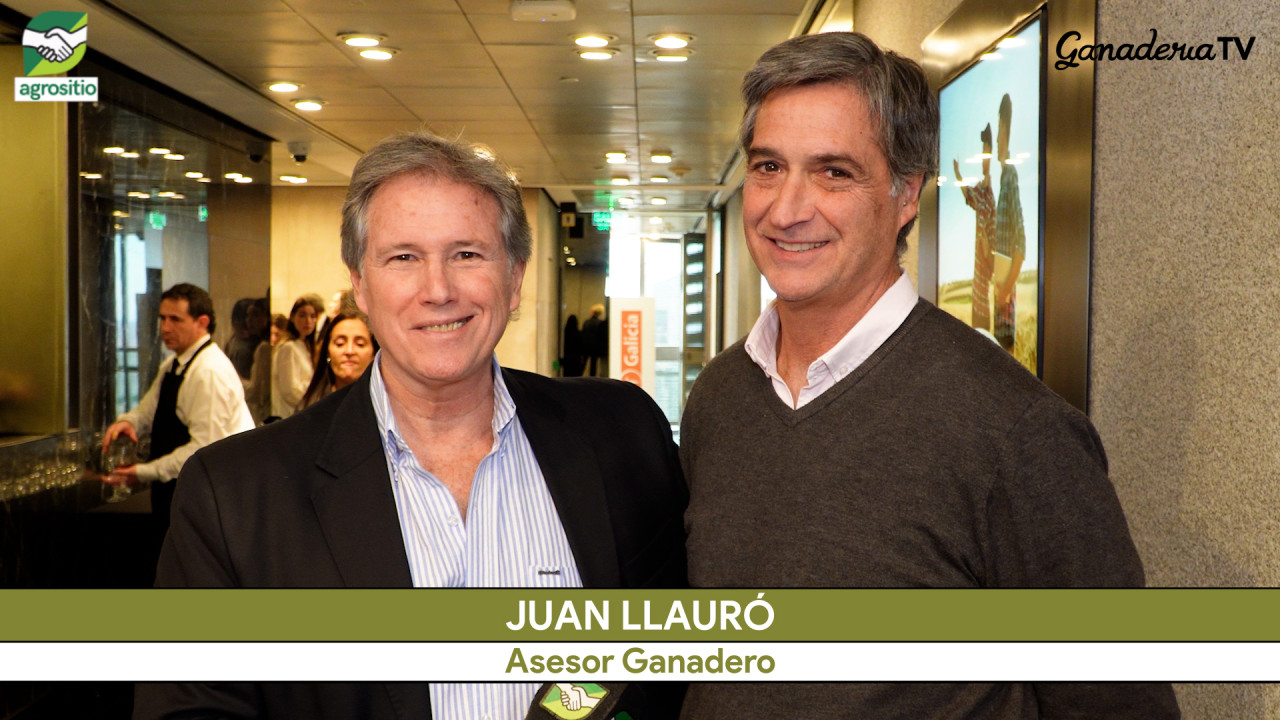 Juan Llauró: “Ganadería para ganadores”, con vacas de US$ 2.000 y novillos de 500 kilos