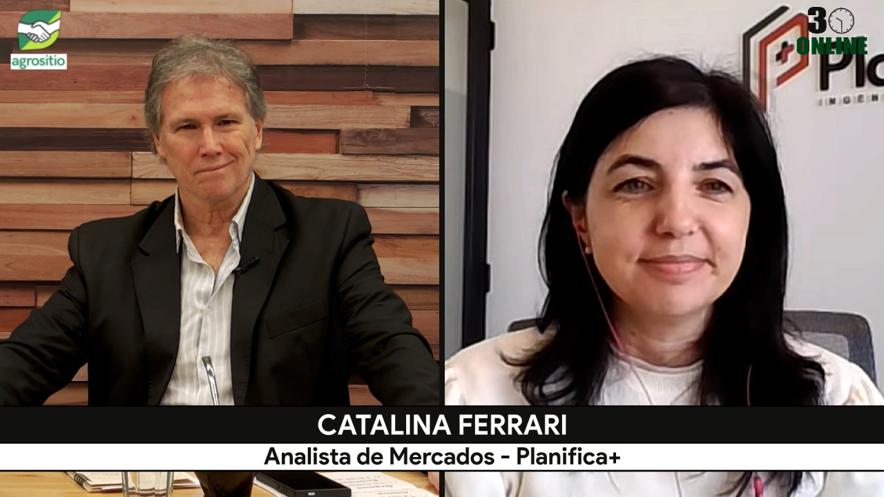 Catalina Ferrari explica cómo el conflicto geopolítico abre nuevas oportunidades para Trigo y Maíz