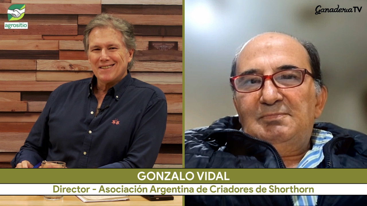 Del Shorthorn a los pistachos y los satélites: Gonzalo Vidal explica su estrategia de diversificación