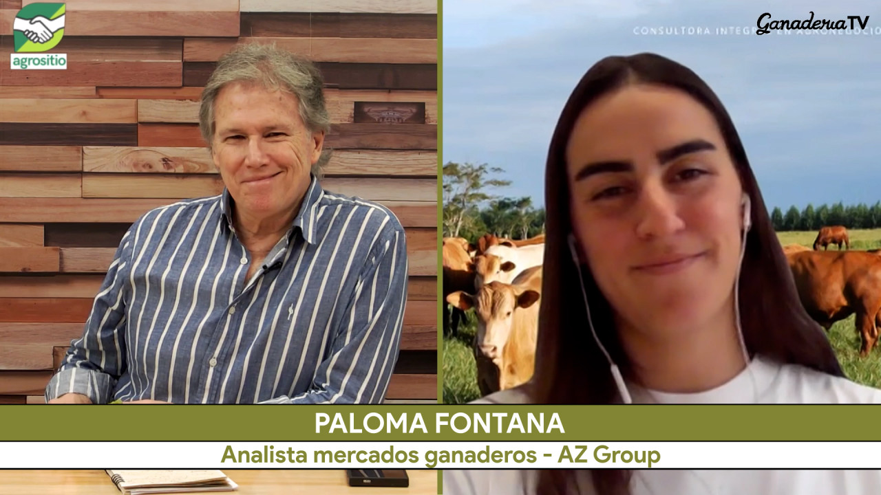 Brasil Ganadero: produce 3 veces más carne que Argentina, ¿qué podemos imitar?; con Paloma Fontana - AZ Group