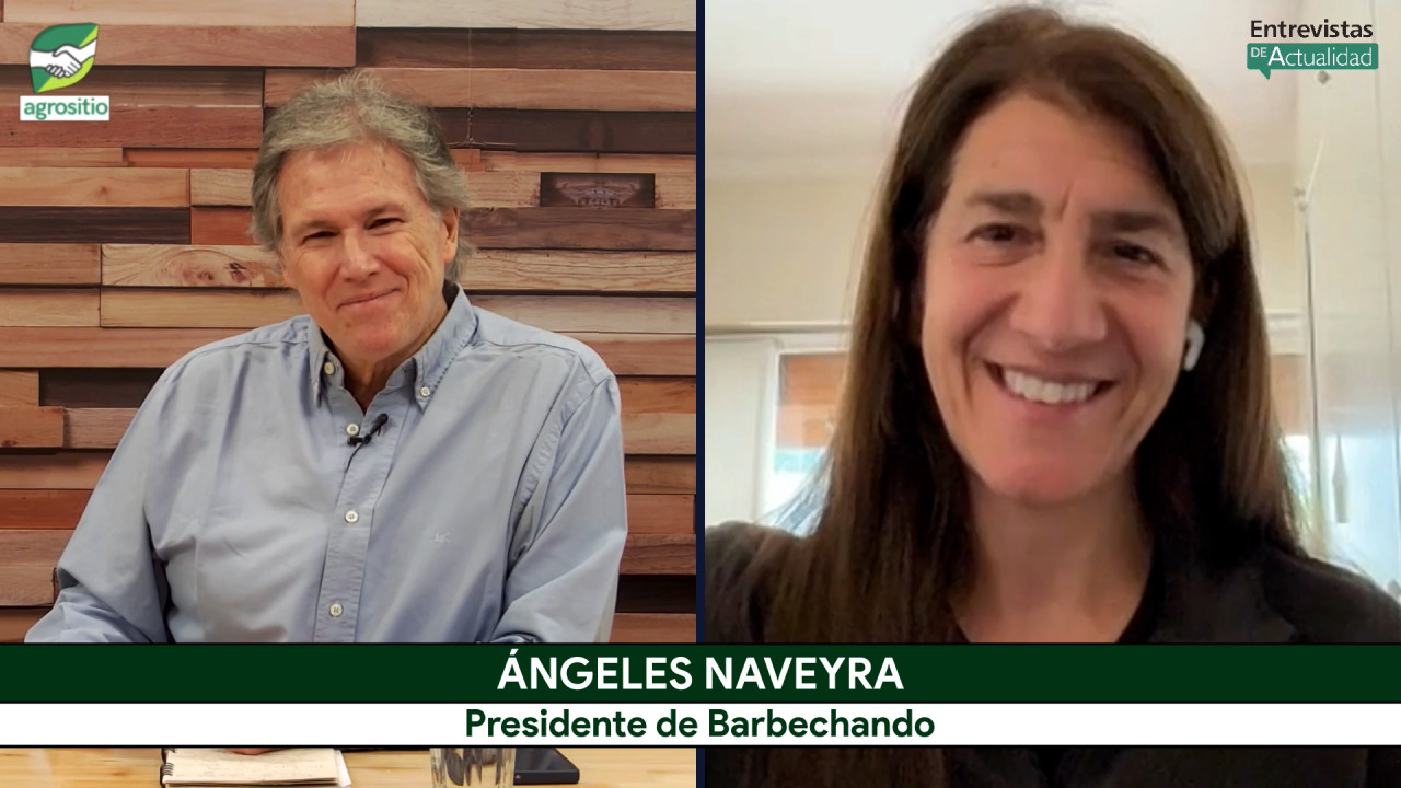 Brasil triplicó su producción sin retenciones: las claves del Frente Parlamentario que mira Argentina