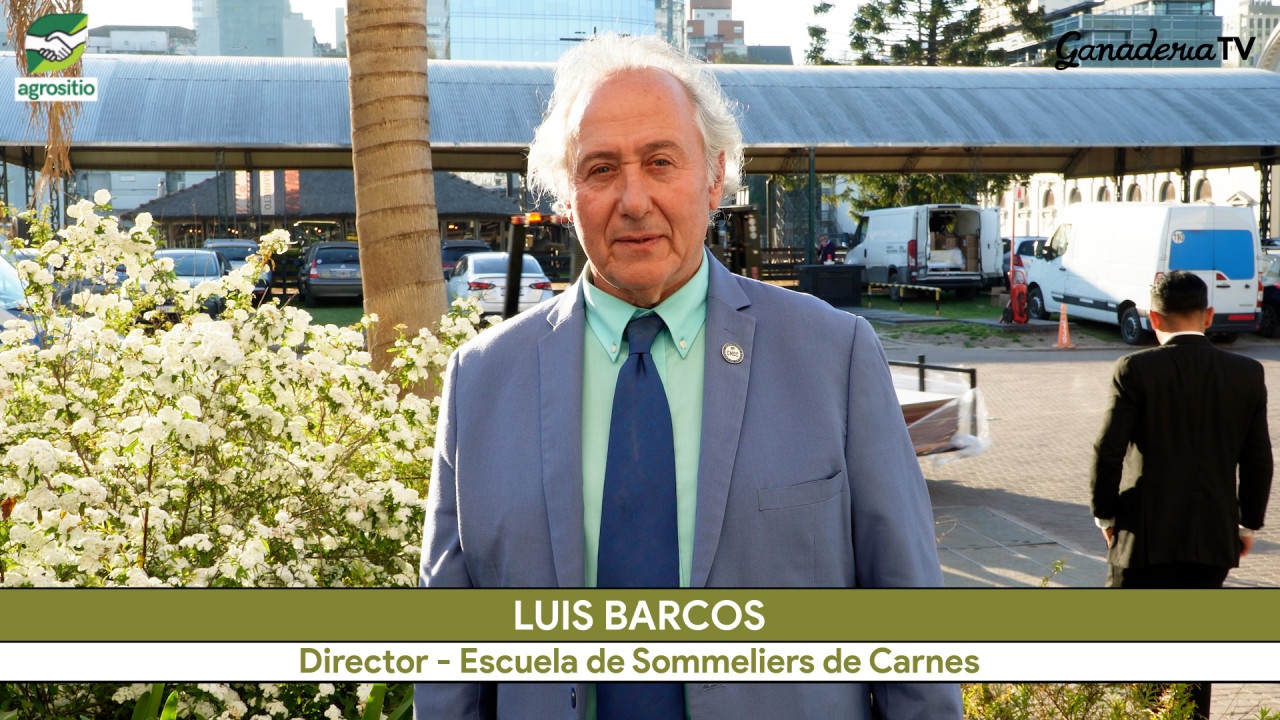 Luis Barcos, 