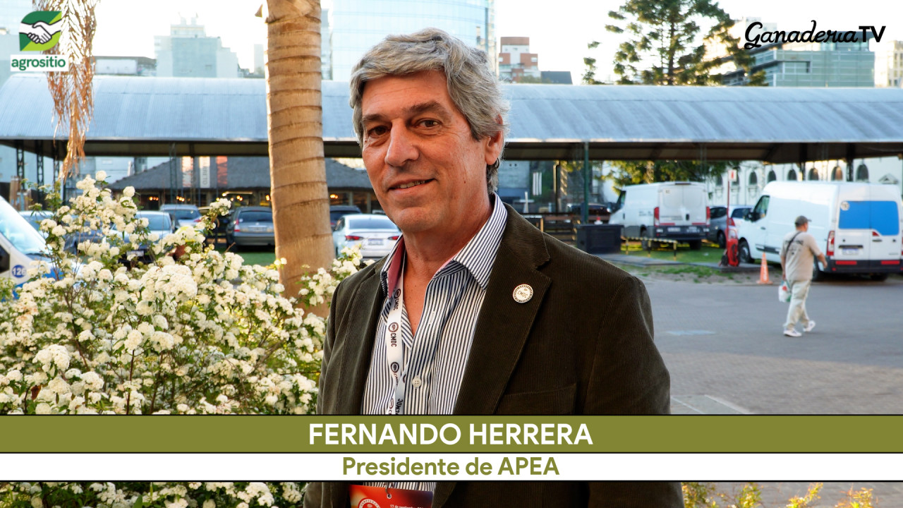 Ganadería 4,0: aumentando el peso de faena 