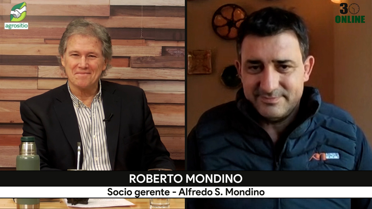 ¿Hasta dónde puede llegar el precio de la hacienda? Mondino analiza vientres, consumo y exportación
