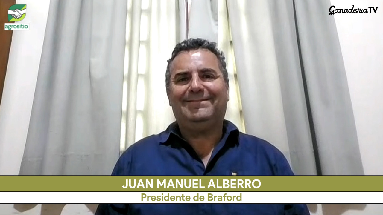 El impacto de la genética Braford en 