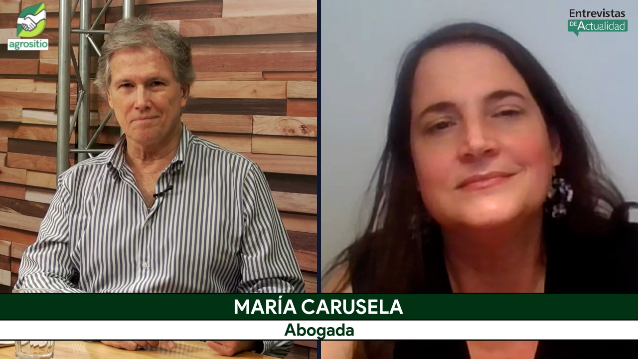 Caminos rurales: ¿pueden los productores financiar obras y descontarlas de impuestos?; con María Carusela - abogada