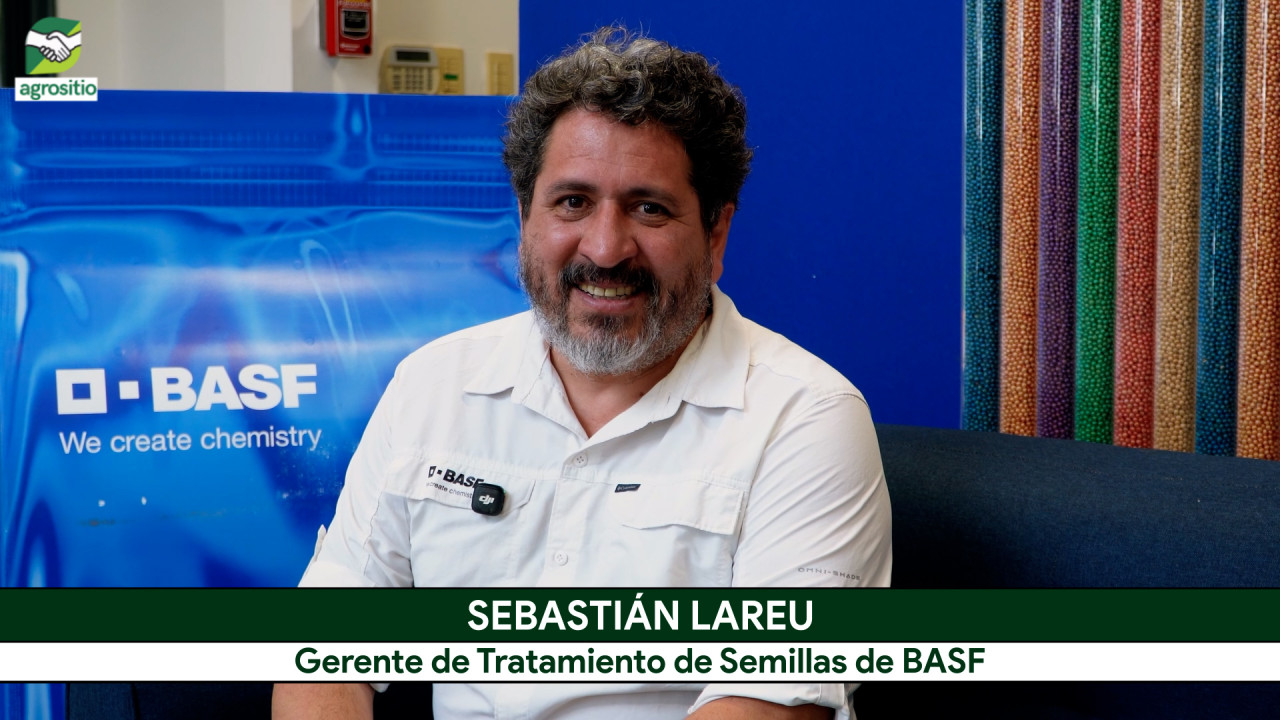 Soja: cómo el tratamiento profesional de semillas puede mejorar el rendimiento del cultivo; con S. Lareu – agrónomo