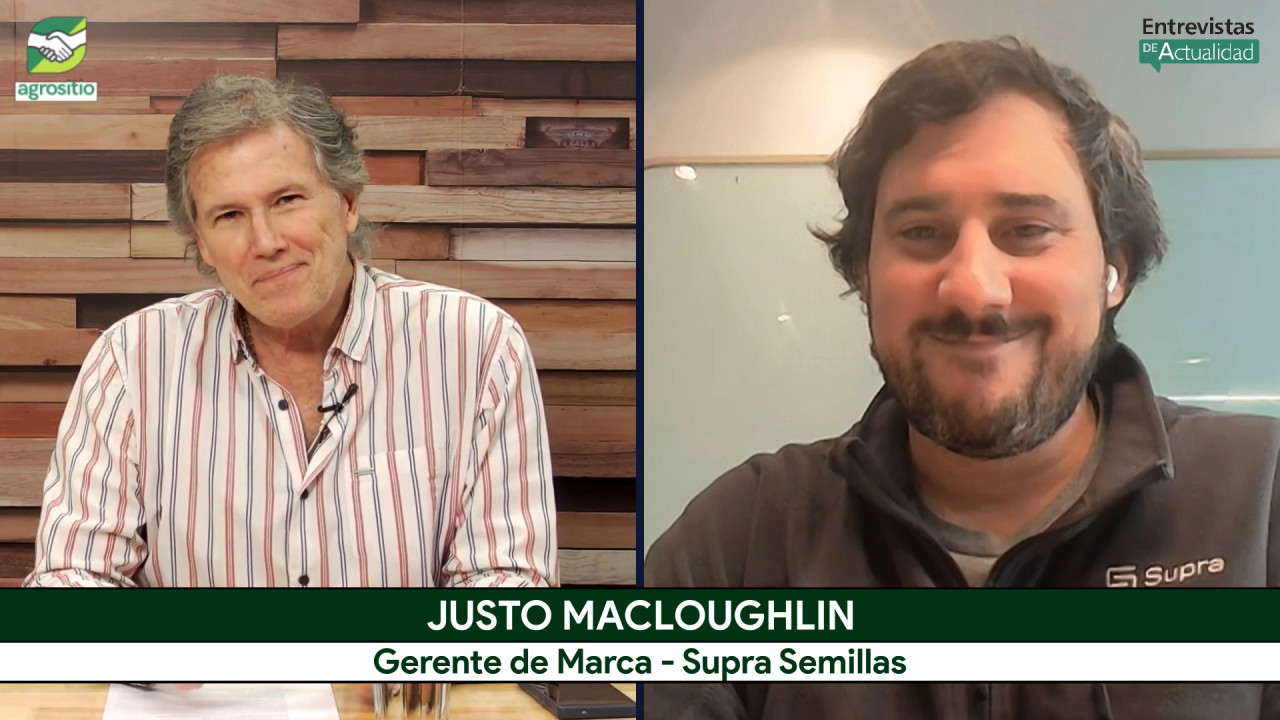 Campaña de Maíz 2026/27: ¿cómo influye El Niño en la elección del híbrido, densidad y fertilización?