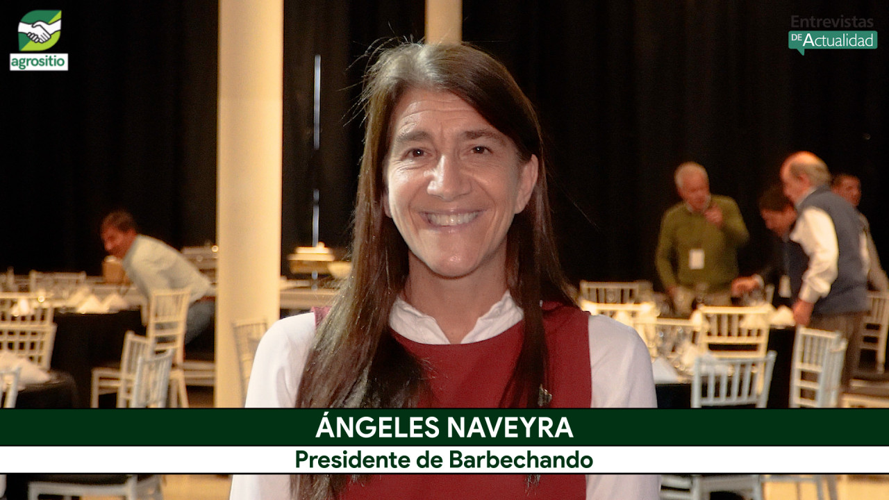 Inversiones, campos y Congreso: Ángeles Naveyra de Barbechando explica las claves de la Ley de Tierras