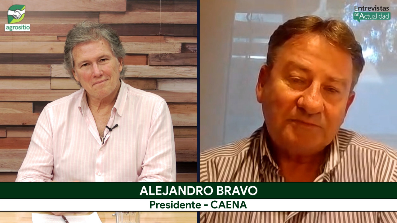 El impacto de la Nutrición animal en la producción de proteínas de exportación; con A. Bravo - CAENA