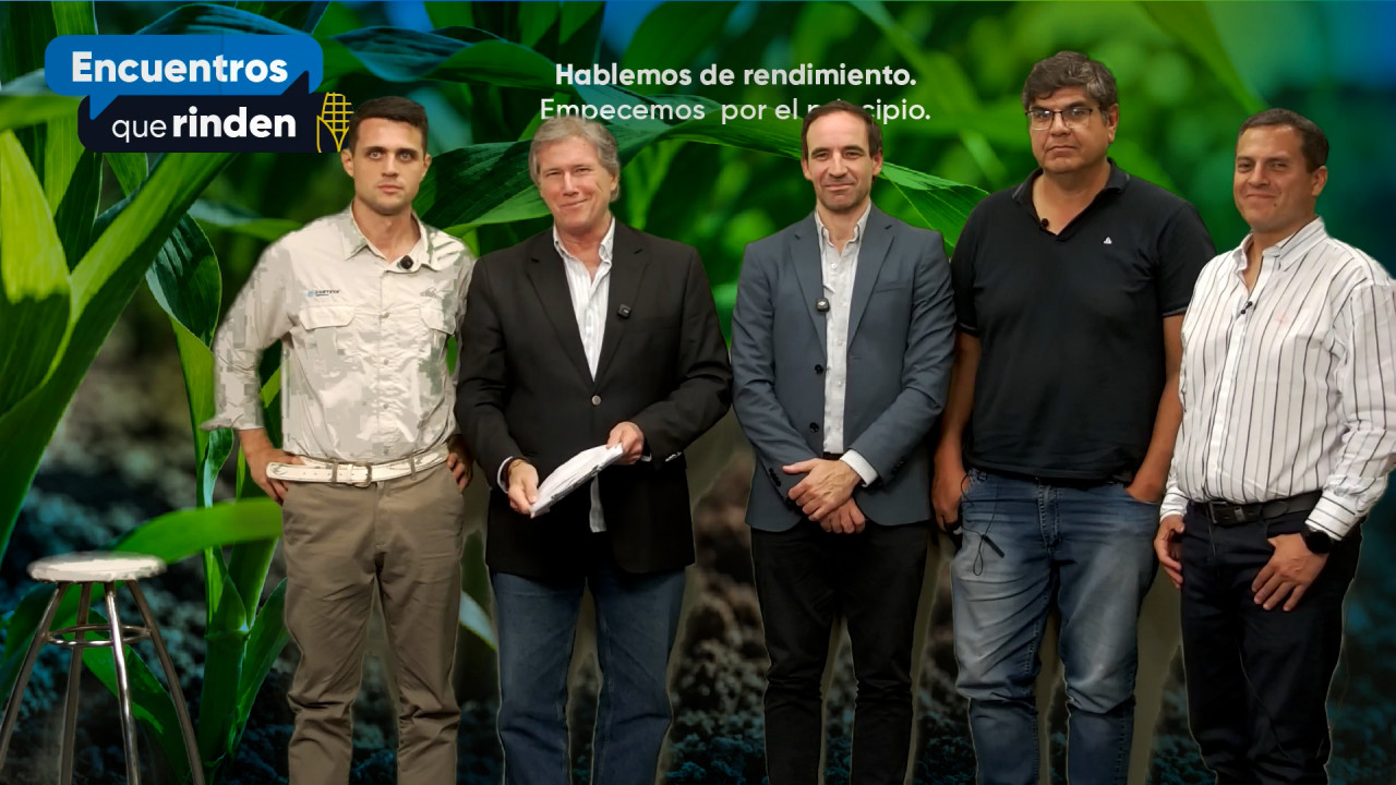 Panel de Maíz: ¿cómo potenciar el rendimiento con nuevas tecnologías, manejo nutricional, y ventas?