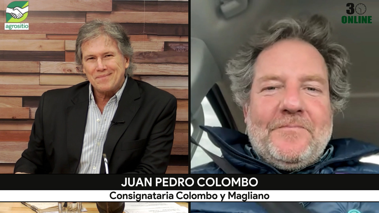 Ganadería: Juan Pedro Colombo destaca estabilidad de precios y expectativas de crecimiento