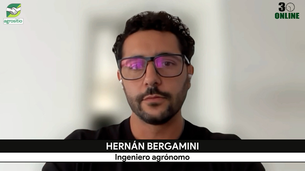¿Vender Granos 25/26 y 26/27? Hernán Bergamini analiza claves para fijar precios en mercados complejos