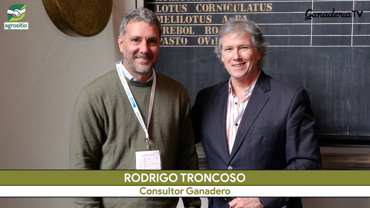 ¿Puede el mercado interno absorber más Carne? El análisis de Rodrigo Troncoso sobre Visec, consumo, y exportación