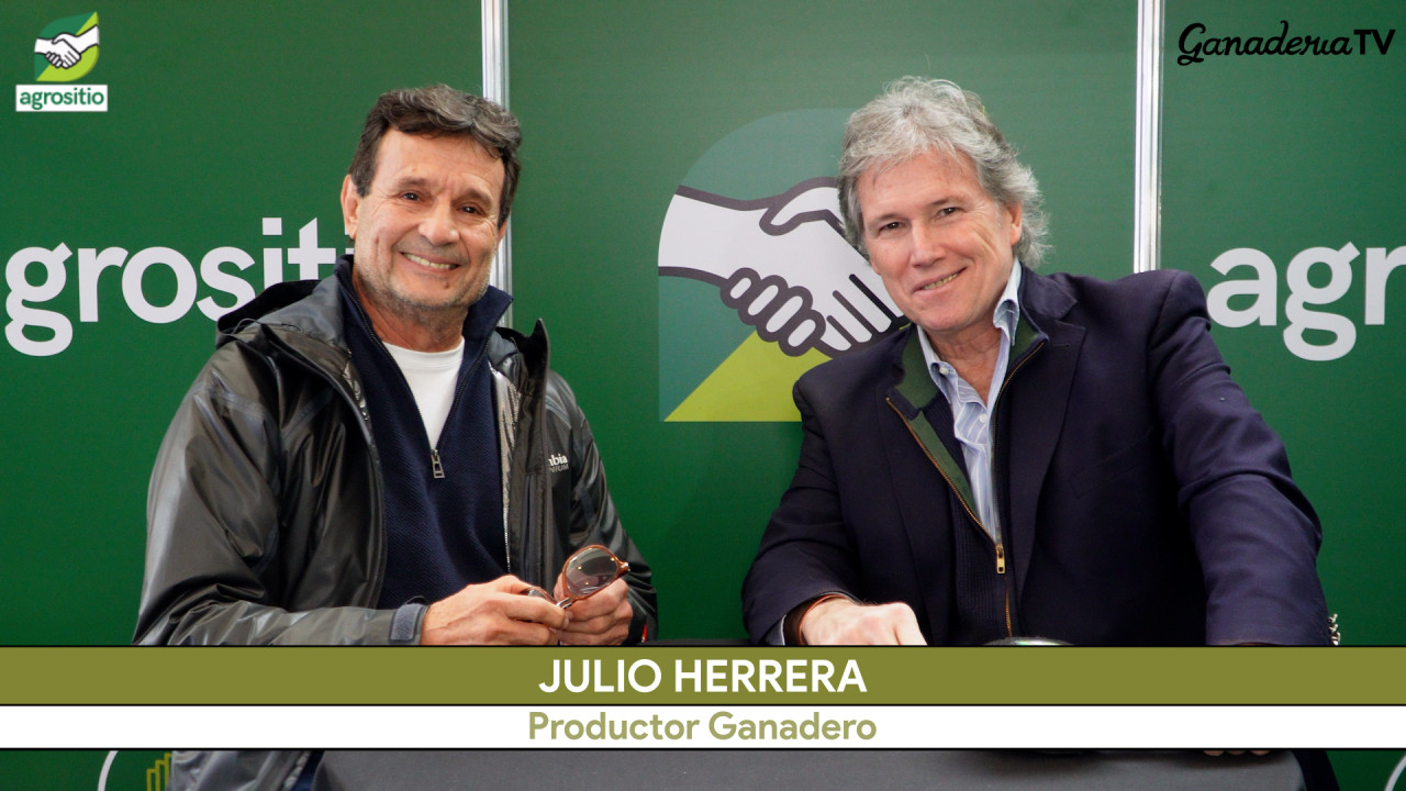 Julio Herrera: de acopiador a productor ganadero en Las Breñas - Chaco combinando cría y engorde en 700 has.
