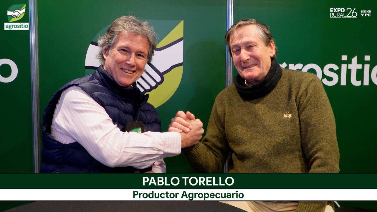 Pablo Torello el Productor y ex Diputado de Macri que está 