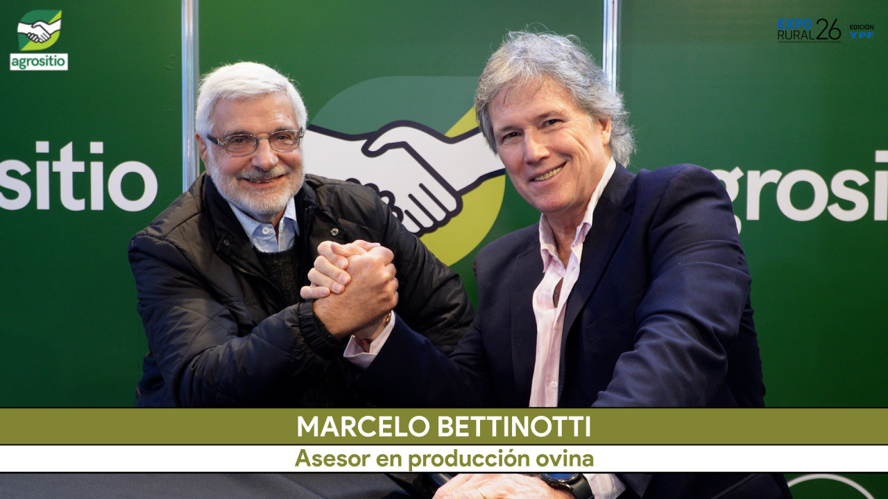 ¿Cómo lograr que la carne Ovina sea más popular y accesible en cortes en Argentina?; con M. Bettinotti - agrónomo