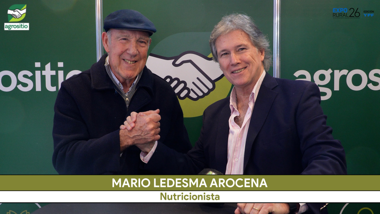 Nutrición bovina: proteína bypass y nuevas premezclas para mejorar reproducción y engorde; con M. Ledesma Arocena - nutricionista