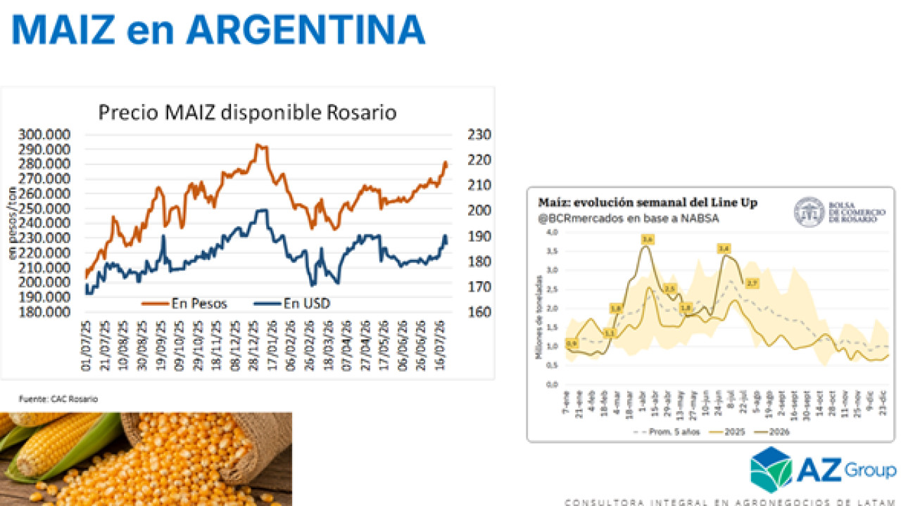 Aprovechemos los precios del Maíz, antes que el clima aumente la oferta; con Lorena D´ Angelo - Clínica de Granos