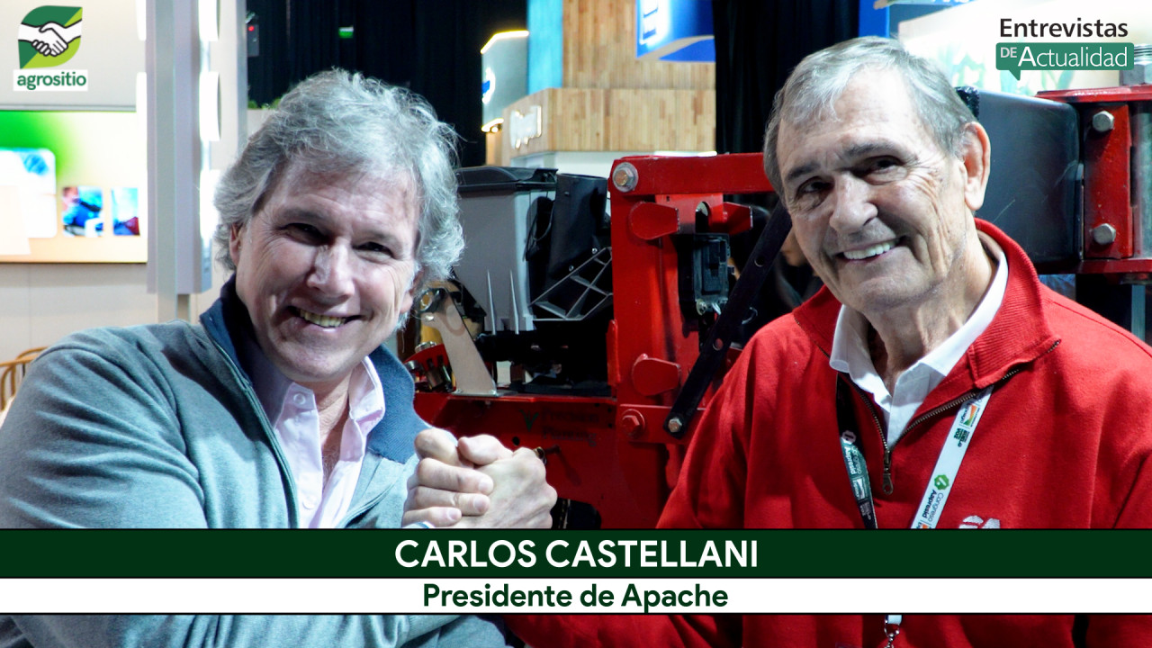 Apache crece, exporta y apuesta al modelo abierto: la visión de Carlos Castellani
