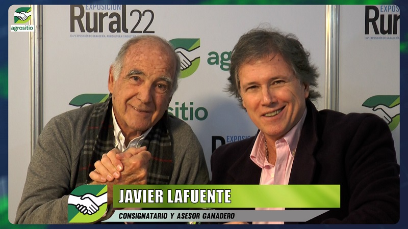 Muy buen ritmo de remates de hacienda y reproductores; con Javier Lafuente - consignatario