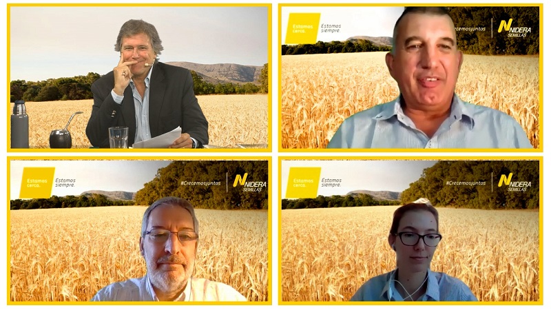 Debate on handling in Wheat with the Engs.  D. Miralles, M. Nico and D. Torino