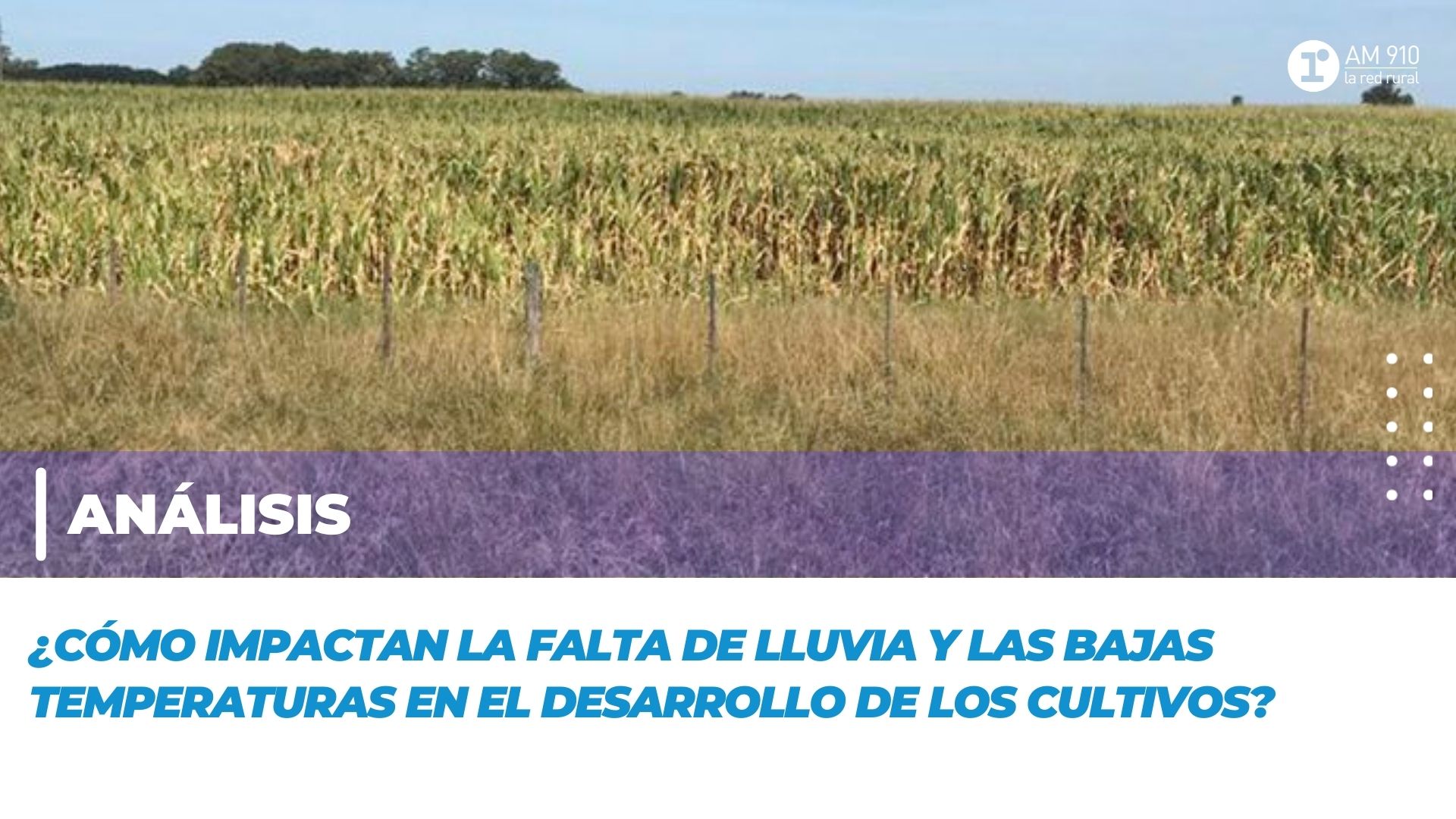 Análisis: ¿Cómo impactan la falta de lluvias y bajas temperaturas en el ...