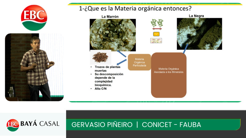 Agronomía 4,0: sistemas integrados agrícola - ganaderos de alta performance; con Gervasio Piñeiro - Fauba - Conicet