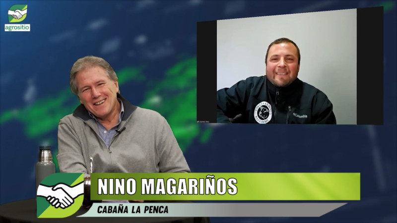 Ovinos en sistemas mixtos: manejo, pasturas y eficiencia productiva; con Nino Magariños - cabañero